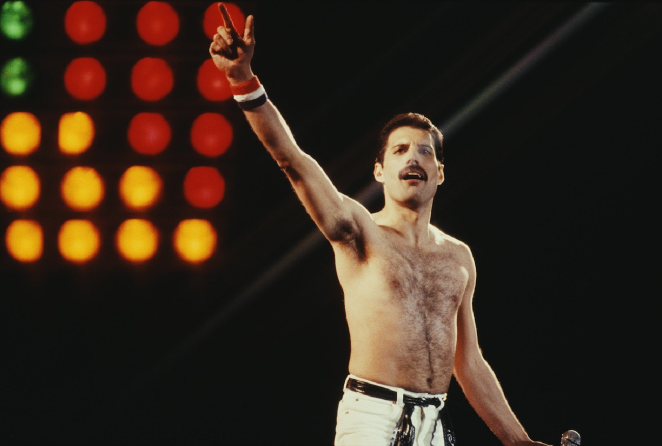 Fotografia che raffigura Freddie Mercury