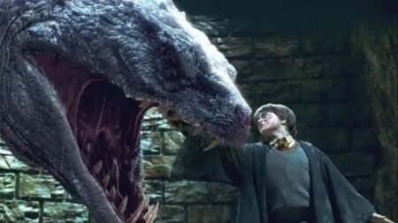 Harry Potter e la camera dei segreti