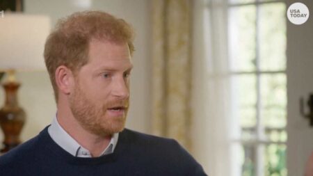 Principe Harry, per Margaret Atwood “Sarebbe stato ucciso, se la sua famiglia fosse stata più potente” Principe Harry