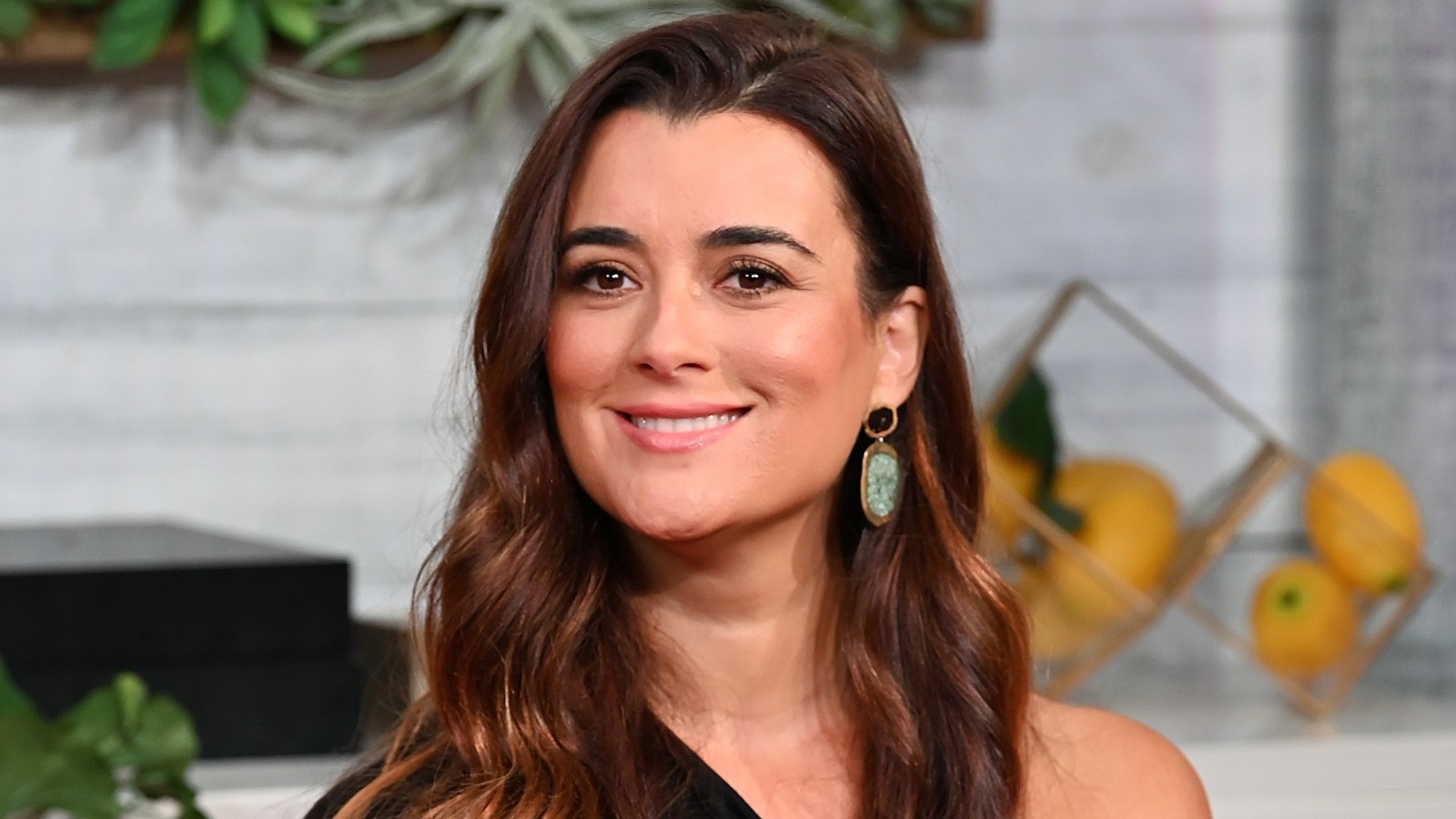 NCIS - Unità Anticrimine: che fine ha fatto Ziva (Cote de Pablo) |  CinemaSerieTV.it