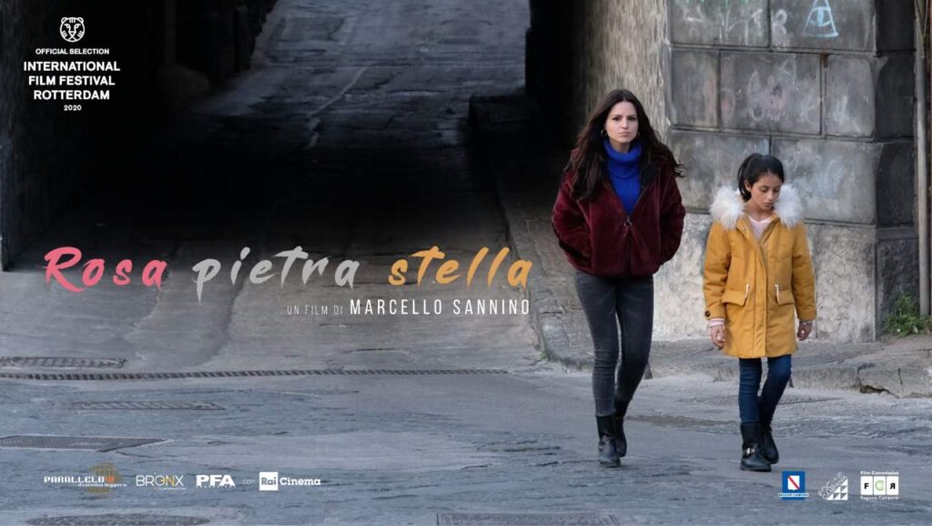 rosa pietra stella