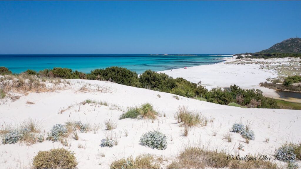 Travolti da un insolito destino nell'azzurro mare d'agosto: dove è