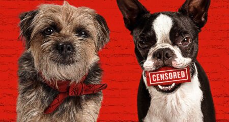 Doggy Style – Quei bravi randagi, la recensione della sboccata commedia on the road La recensione di Doggy Style