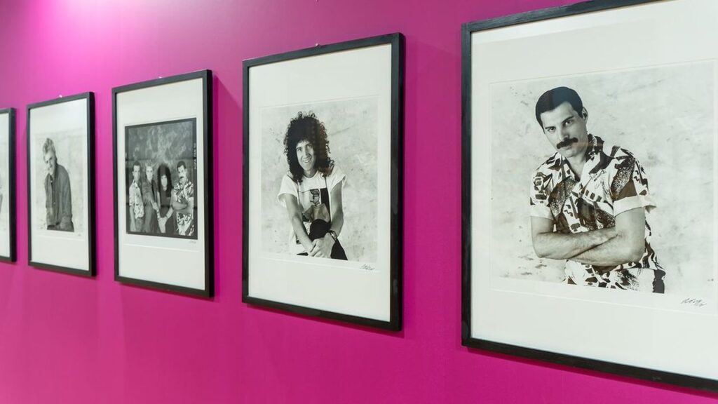 Freddie Mercury e i Queen, la mostra a Rimini: date e dettagli Freddie Mercury e i Queen, la mostra a Rimini: date e dettagli