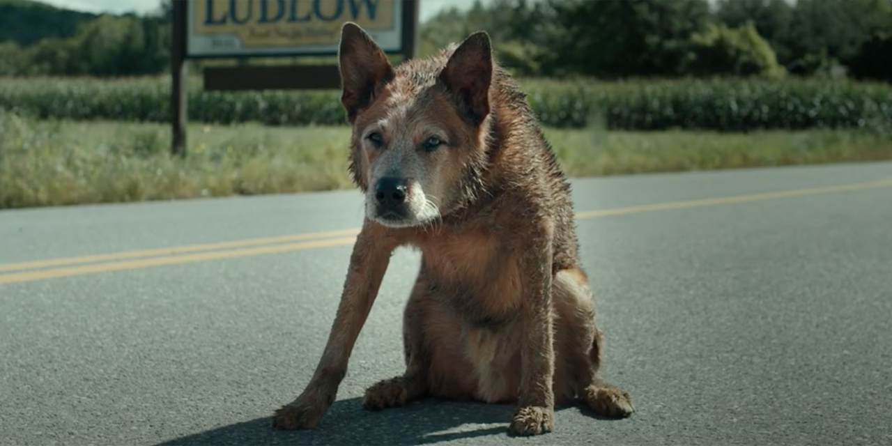 cimitero vivente, le origini, una scena del film 