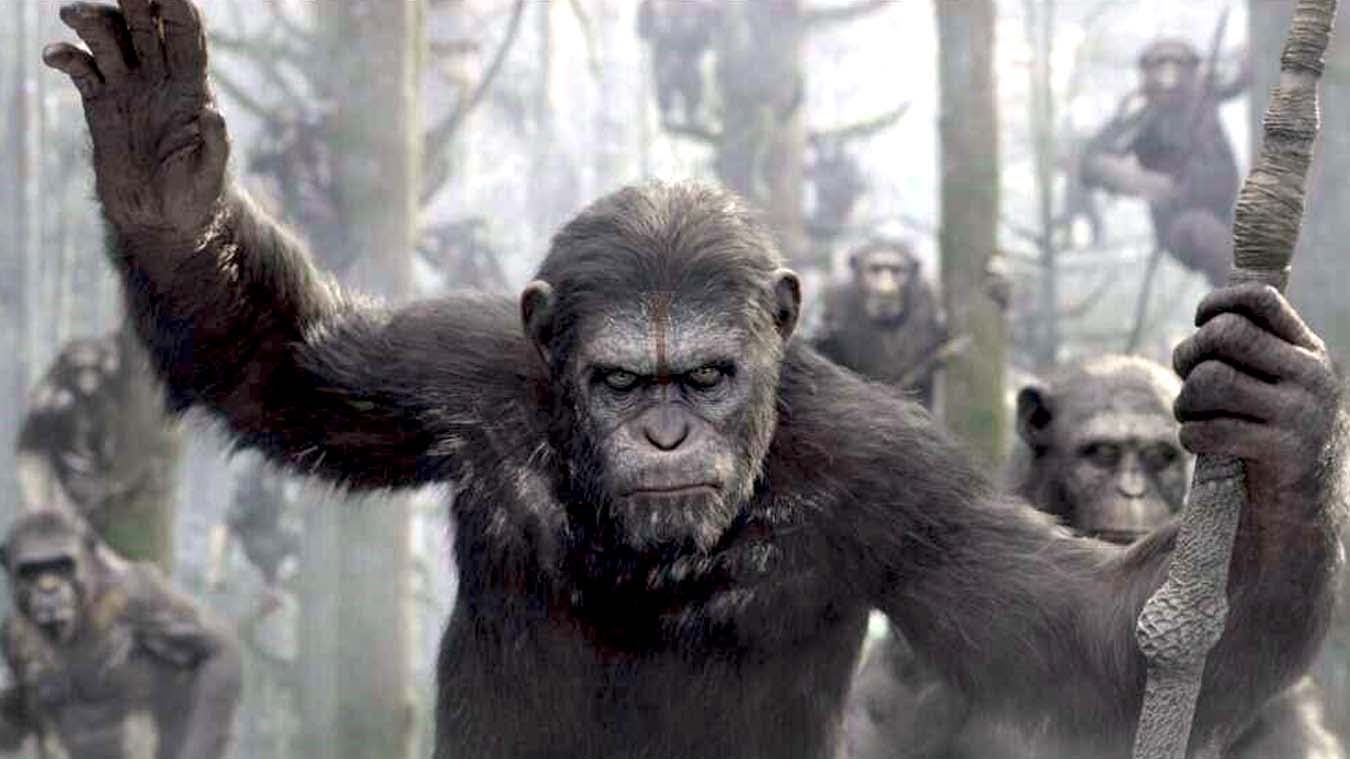 un'immagine da Apes Revolution - Il pianeta delle scimmie