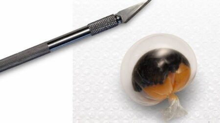 il cyber egg di Davide Scabin