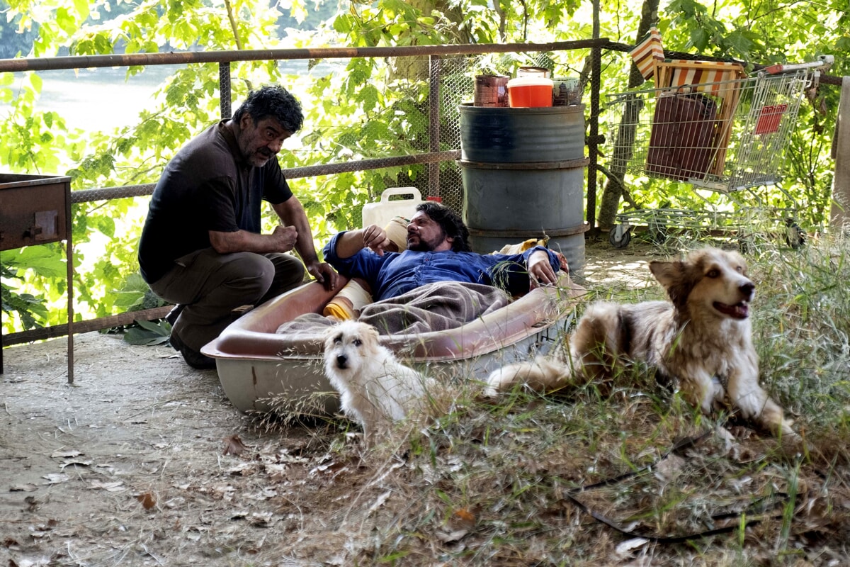 Una scena de gli addestratori 