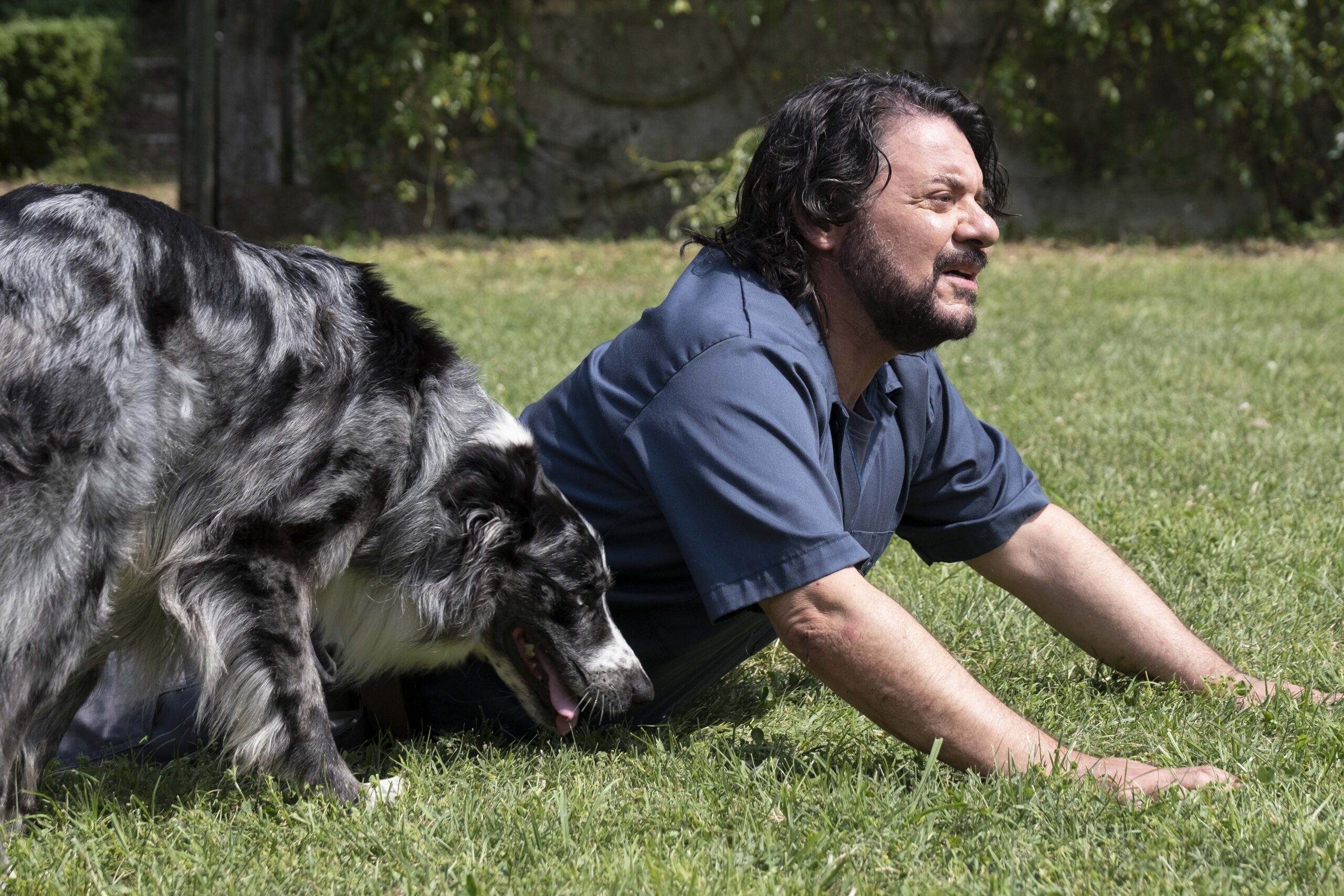 Una scena de gli addestratori 