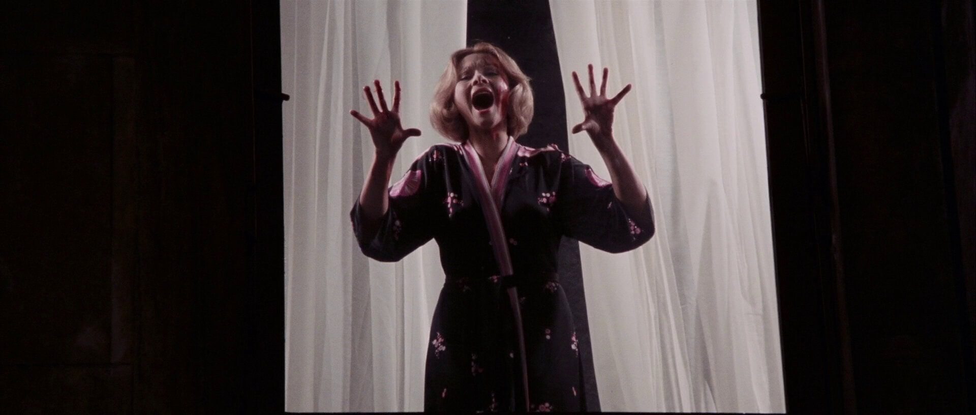 La sensitiva di Profondo Rosso, Helga Ullmann