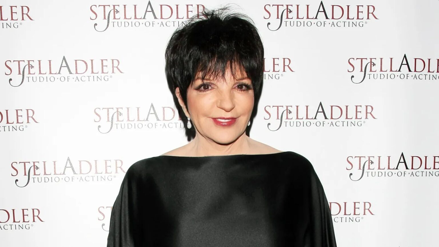 Liza Minnelli, la sua autobiografia spazzerà via le bugie su di lei: “Ero furiosa” Liza Minnelli
