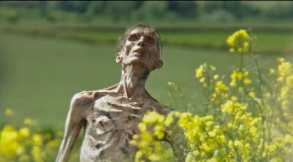 Un frame dal trailer di 28 anni dopo
