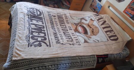 Coperta di One Piece