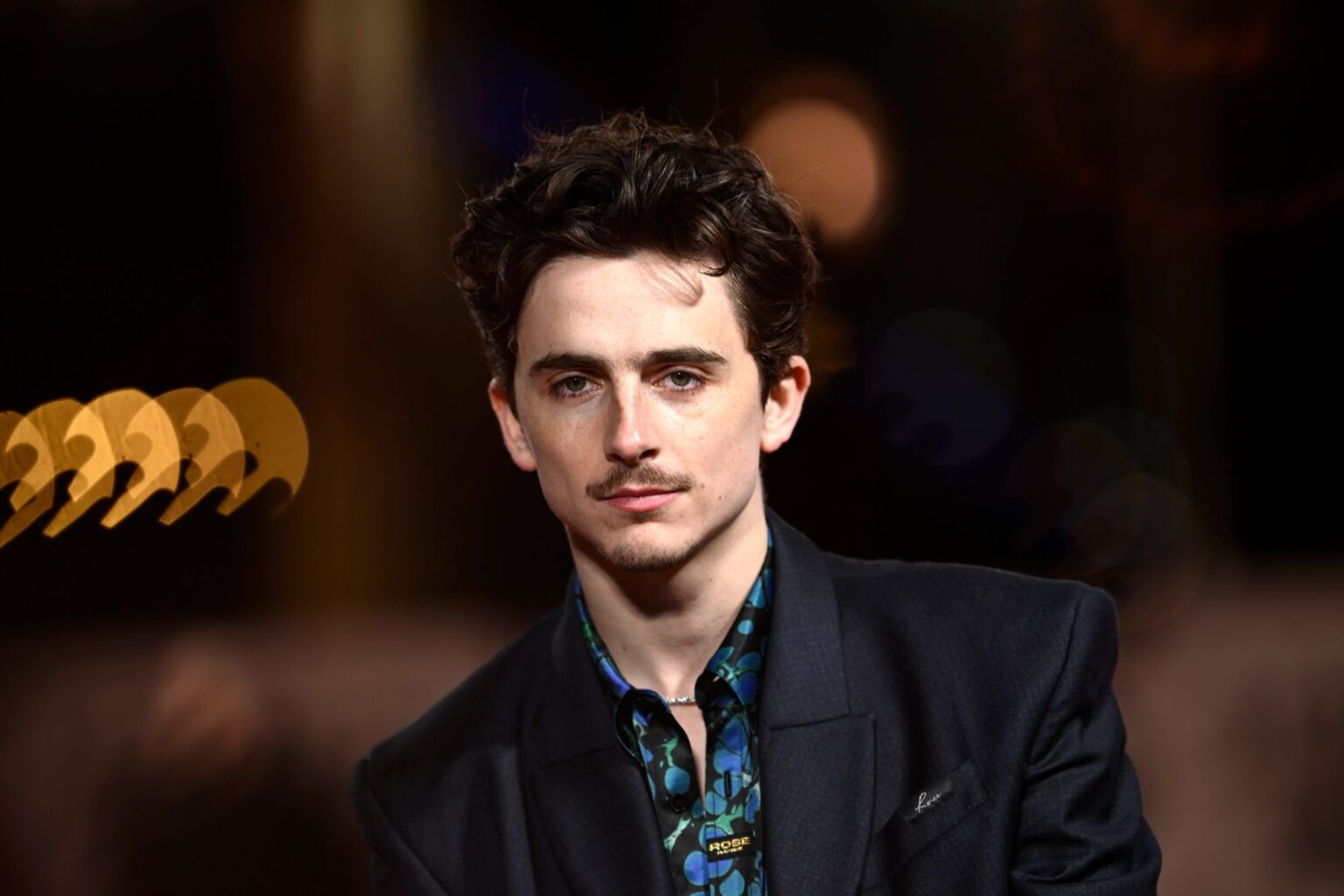 Timothee Chalamet alla premiere di A Complete Unknown