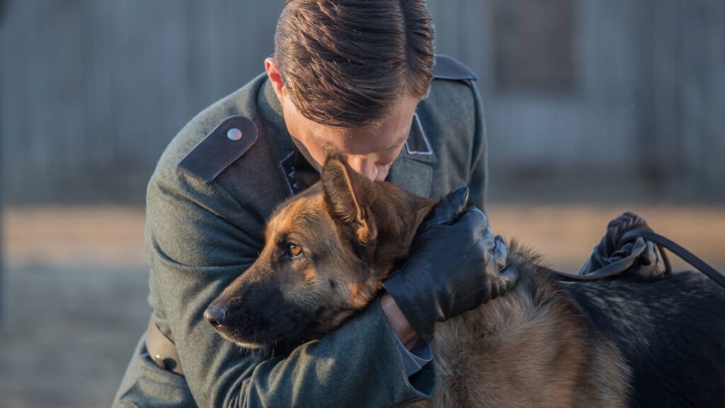 I protagonisti del film Zack, cane eroe