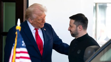 Trump e Zelensky, i meme sulla lite alla Casa Bianca Donald Trump e Volodimir Zelensky