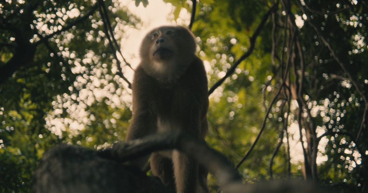 Una scena di The White Lotus 3 (fonte: HBO)