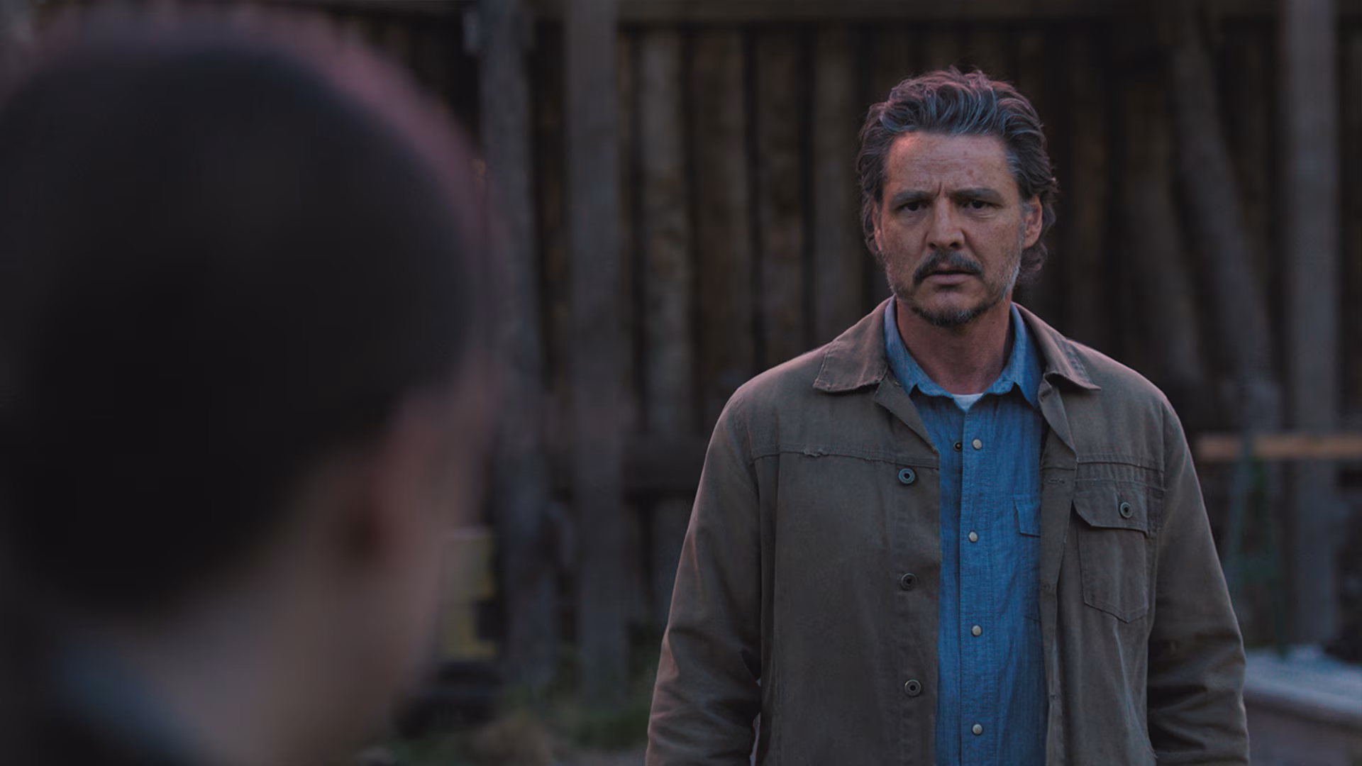 Una scena di The Last of Us 2 (fonte: HBO)