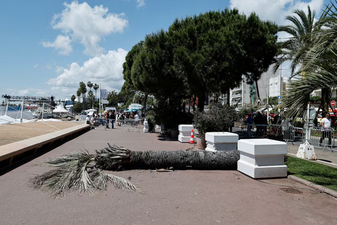 Palma caduta a Cannes 2025 