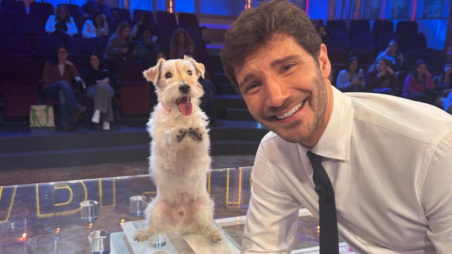 Cosa sappiamo di Gennarino, il cane di Affari Tuoi: razza, proprietario e “carriera” tra spot e tv Stefano De Martino con Gennarino, la mascotte di Affari Tuoi