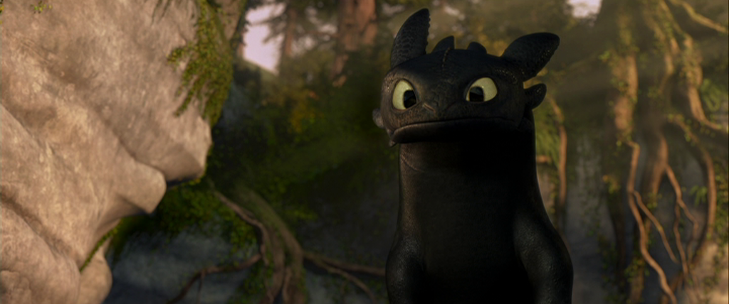 Il protagonista del film d'animazione Dragon Trainer (Dreamworks)