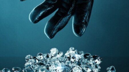 Stolen: il furto del secolo