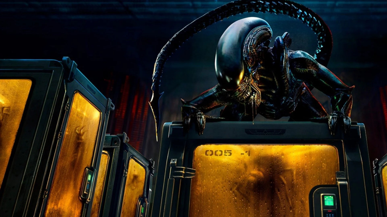 Alien: Pianeta Terra, la recensione: L’evoluzione del terrore ha un nuovo volto Una scena di Alien Pianeta Terra (fonte: Disney+)