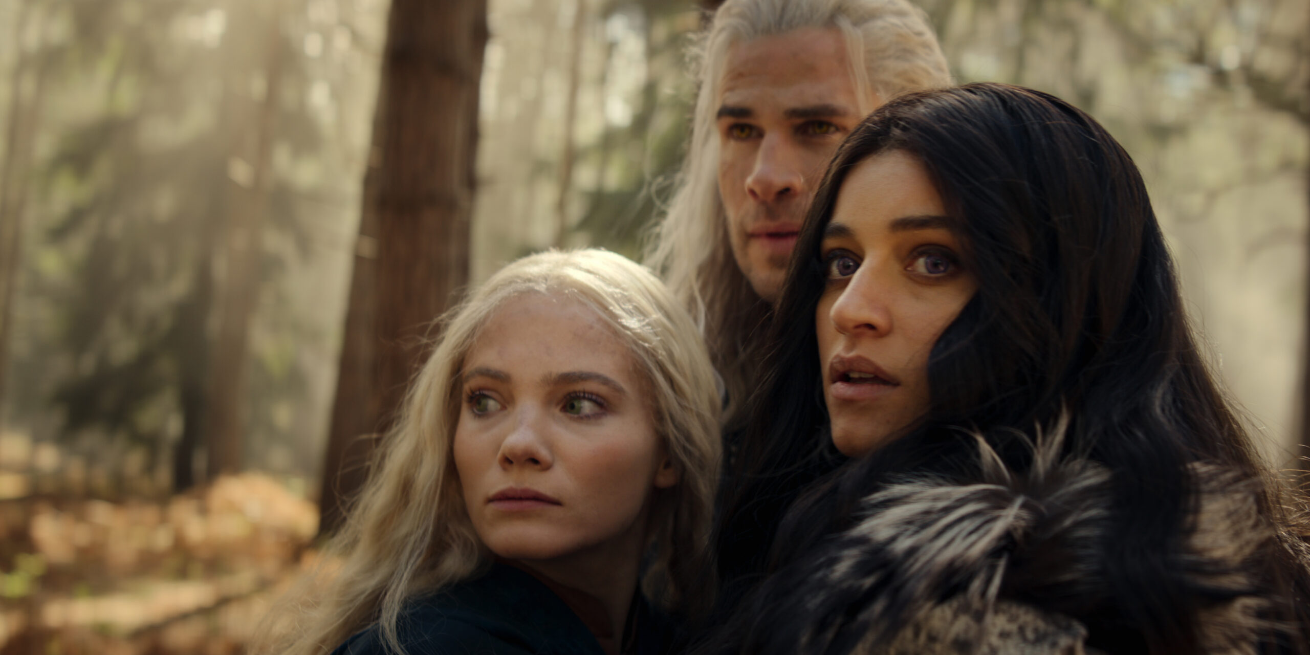 Una scena di The Witcher 4 (fonte: Netflix)