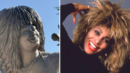 La statua di Tina Turner