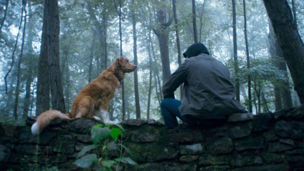 Una scena di Good Boy (fonte: Shudder)