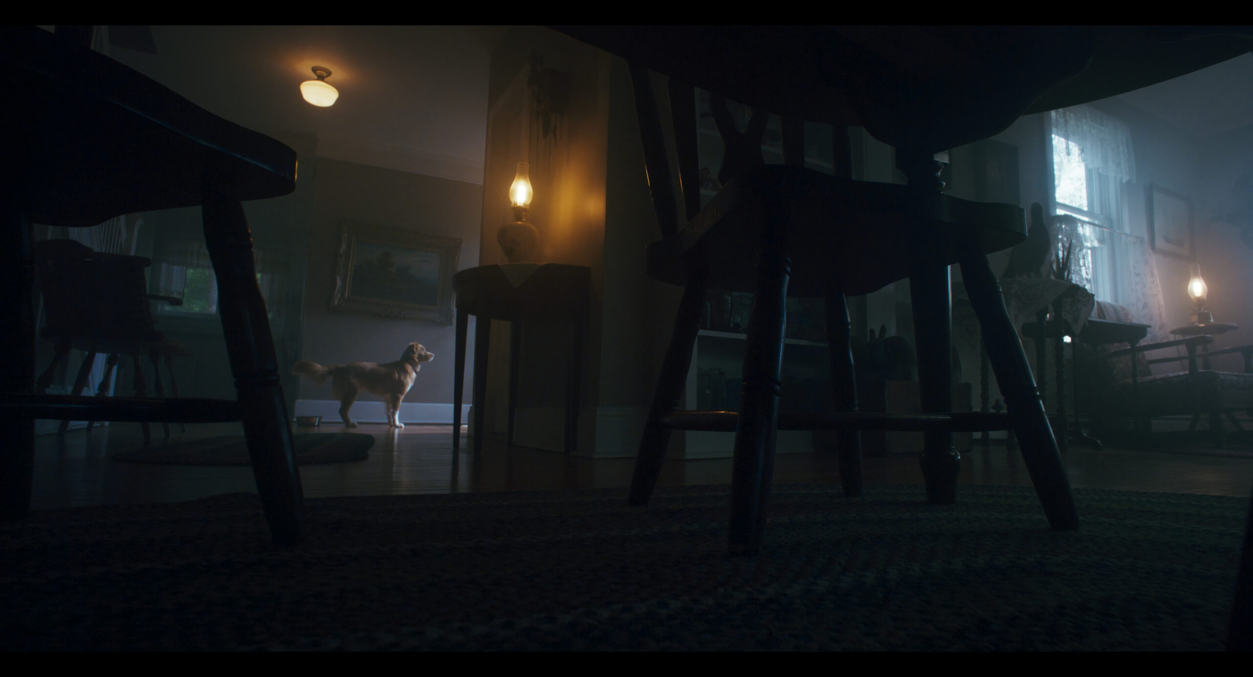 Una scena di Good Boy (fonte: Shudder)