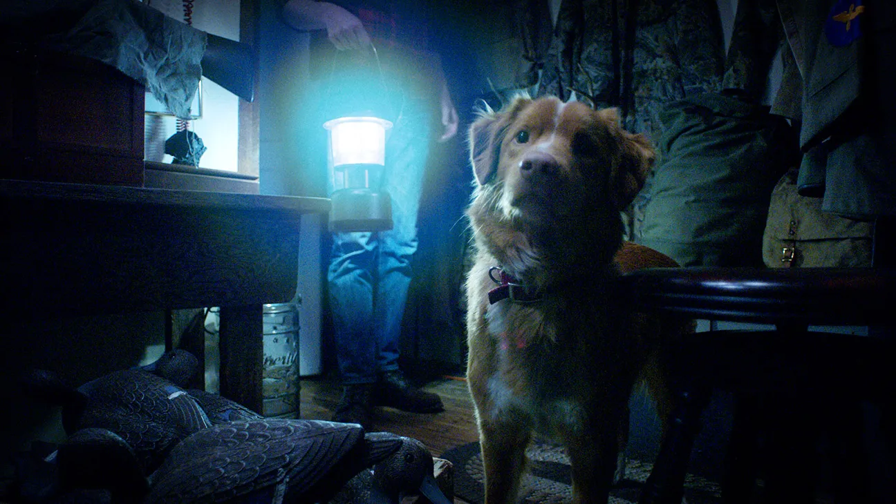 Una scena di Good Boy (fonte: Shudder)