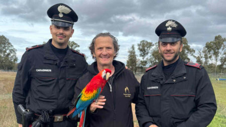 Il pappagallo di Enzo Salvi era scomparso dopo uno sparo: come è stato ritrovato Enzo Salvi con il suo pappagallo Bonnie e i carabinieri