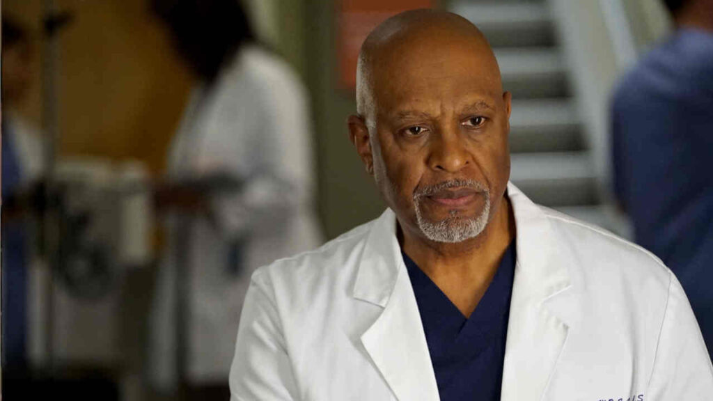 Dottor Webber (James Pickens jr.) in Grey's Anatomy