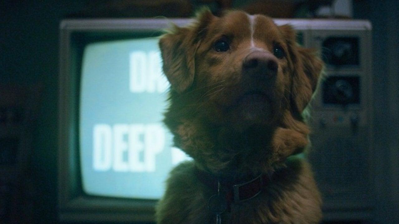 Una scena di Good Boy (fonte: Shudder)