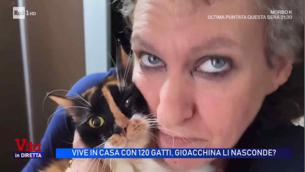 Chi è Gioacchina Furnari, la donna che vive con 120 gatti a Palermo: perché “Bam bam bam!” è ovunque Gioacchina Furnari