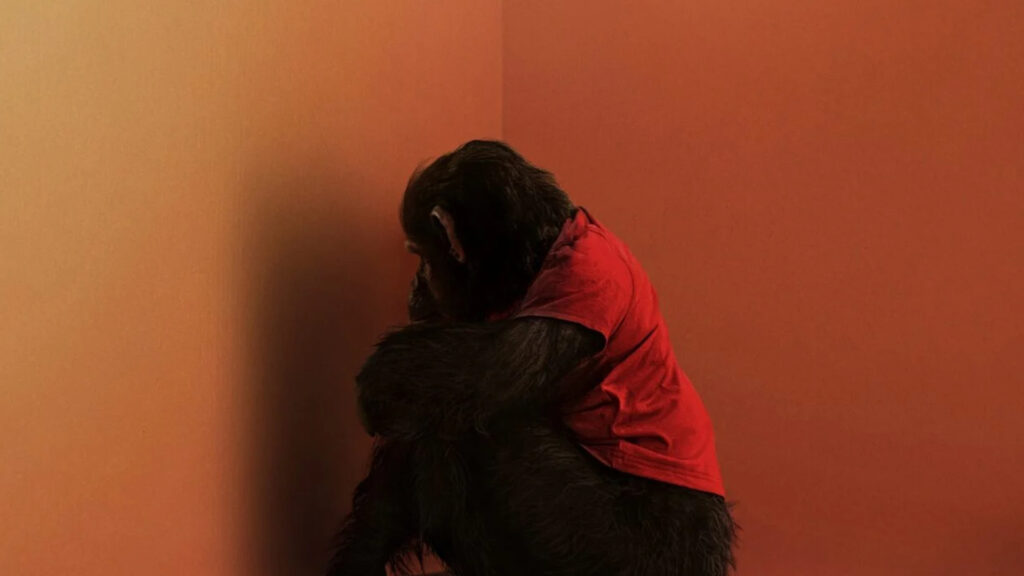 Una scena di Ben - Rabbie animale (fonte: Paramount Pictures)