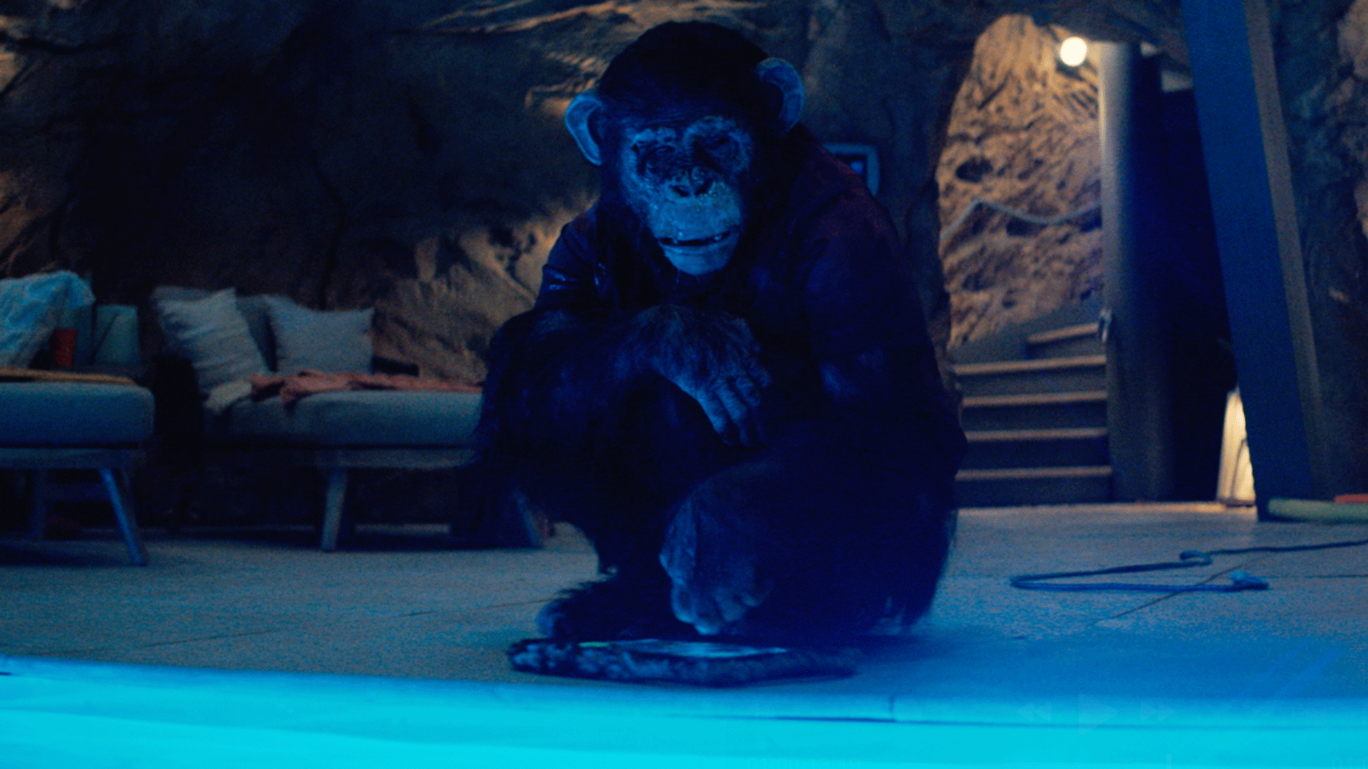 Una scena di Ben - Rabbie animale (fonte: Paramount Pictures)