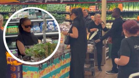 Rihanna fa la spesa al supermercato