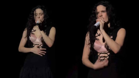 Rimborso sì o no? La discussione dei fan di Rosalia dopo il concerto interrotto a Milano Rosalia durante il concerto a Milano