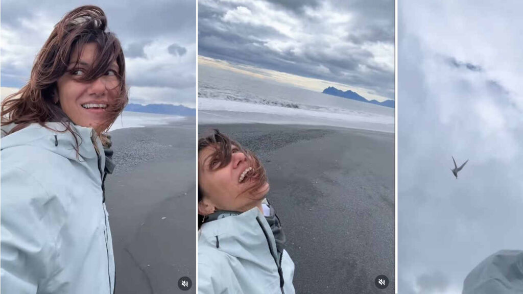 Elisa aggredita da un uccello in Islanda